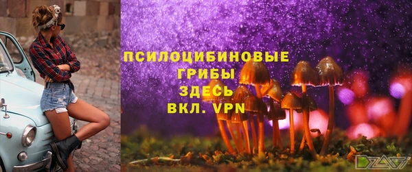 спайс Вязьма
